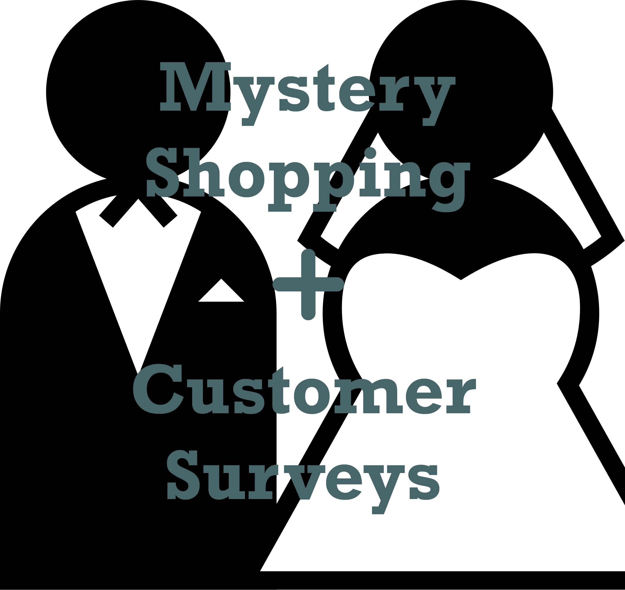 Mystery Shopping + Customer Surveys